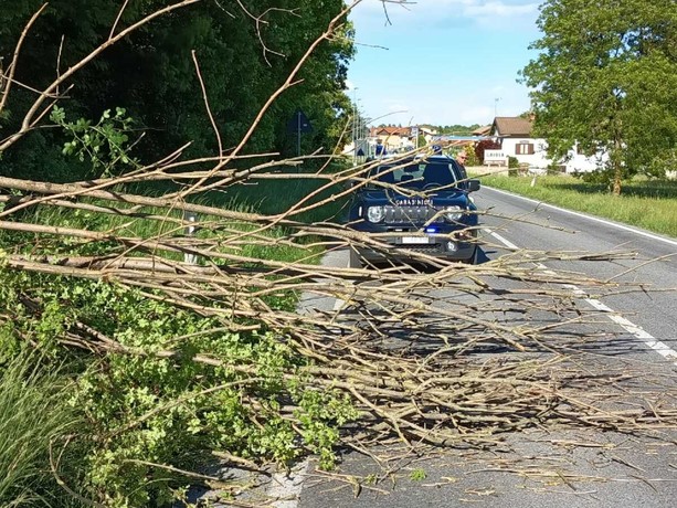 Vento forte con raffiche sino a 75 km/h in diverse zone della provincia. Numerosi gli interventi dei Vigili del fuoco per la caduta di alberi e rami Vento forte con raffiche sino a 75 km/h in diverse zone della provincia. Numerosi gli interventi dei Vigili del fuoco per la caduta di alberi e rami