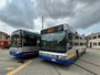 Studenti sui bus gratis, ma per le linee universitarie la Regione chiede conto a Gtt: in ballo mezzo milione Studenti sui bus gratis, ma per le linee universitarie la Regione chiede conto a Gtt: in ballo mezzo milione