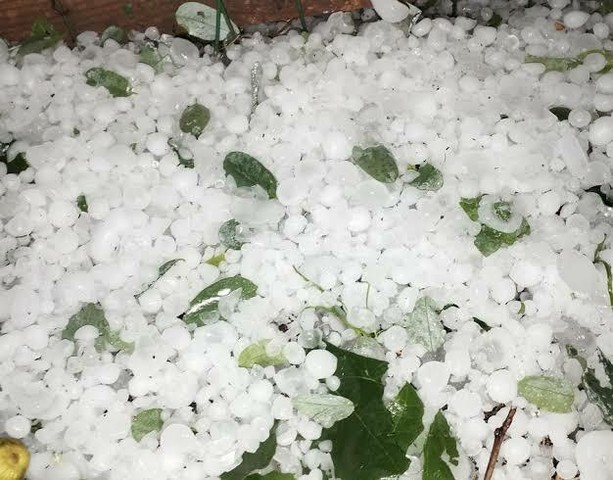 Temporali in arrivo sulla Liguria, scatta l’attenzione per grandine oltre i 2 centimetri e forti raffiche di vento Temporali in arrivo sulla Liguria, scatta l’attenzione per grandine oltre i 2 centimetri e forti raffiche di vento