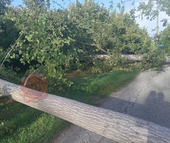 Raffiche di vento, decine di alberi caduti e tetti danneggiati nel Cuneese e nel Saluzzese Raffiche di vento, decine di alberi caduti e tetti danneggiati nel Cuneese e nel Saluzzese