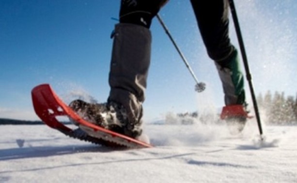 Sport invernali, la Regione precisa: &quot;Sci di fondo e alpinismo sono consentiti&quot;