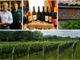 Cascina Ronchetto, quel mondo antico che riporta in vita i vini varesini: «Chiamateli ViVa e riempite un calice con il nettare della nostra terra»