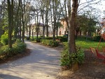 Schianto notturno al parco Monte Rainero, pino crolla su un'area giochi