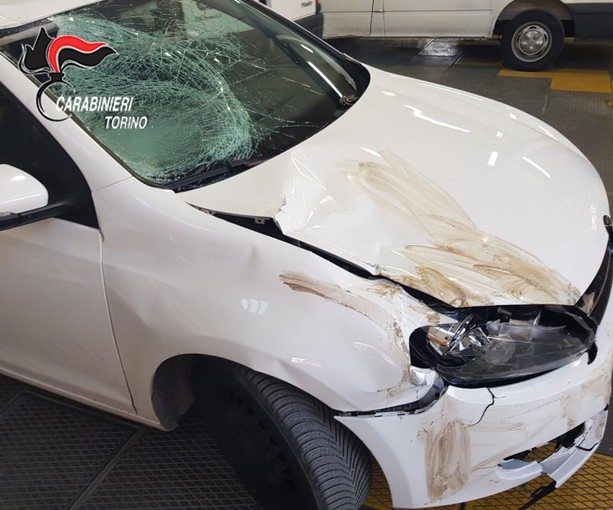 Fermato il pirata della strada che ha ucciso Franko Gjinaj: in carcere operaio di Giaveno con l'accusa di omicidio stradale
