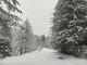 Maltempo: 20 cm di neve a Monesi e 40 nel basso Piemonte, in arrivo vento e calo delle temperature Maltempo: 20 cm di neve a Monesi e 40 nel basso Piemonte, in arrivo vento e calo delle temperature