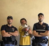 Il gattino Noah intrappolato in un garage per due giorni, salvato dalla Polizia Il gattino Noah intrappolato in un garage per due giorni, salvato dalla Polizia
