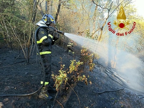I boschi della Lombardia bruciano: la mappa degli incendi, c'è anche il Varesotto I boschi della Lombardia bruciano: la mappa degli incendi, c'è anche il Varesotto