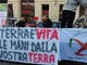 Insetti, UE e scie chimiche: la manifestazione dei sovranisti alimentari a Torino