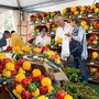 Fiera del Peperone a Carmagnola e Levante in concerto: cosa fare fino a domenica 30 agosto