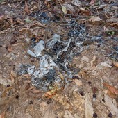 Chiusa Pesio: trovano inneschi per dare fuoco al bosco di loro proprietà, la denuncia sui social