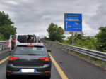 Ad Alba effetto "curiosi" sulla tangenziale: secondo incidente di ieri mentre gli automobilisti guardano l’altro schianto