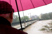 Pasqua in giallo, ma per Pasquetta il Piemonte torna a vestirsi di verde dopo una settimana di paura