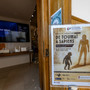 Le Musée d’Anthropologie préhistorique presenta la mostra “Da Toumaï a Sapiens” (Foto)