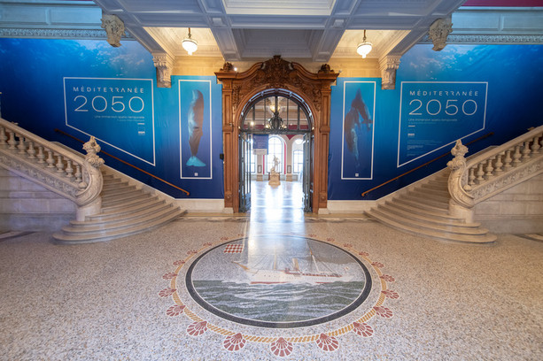 Un milione di visitatori per “Méditerranée 2050” a Monaco, l’esposizione del Museo oceanografico guarda al futuro del Mediterraneo