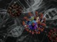 Altri 21 decessi in Piemonte per il coronavirus, 10 nella provincia di Torino