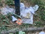 Giardini Maiocco, i residenti dicono basta al degrado: “Raccogliamo le firme”