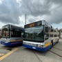 Studenti sui bus gratis, ma per le linee universitarie la Regione chiede conto a Gtt: in ballo mezzo milione
