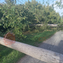 Raffiche di vento, decine di alberi caduti e tetti danneggiati nel Cuneese e nel Saluzzese Raffiche di vento, decine di alberi caduti e tetti danneggiati nel Cuneese e nel Saluzzese