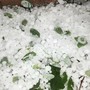 Temporali in arrivo sulla Liguria, scatta l’attenzione per grandine oltre i 2 centimetri e forti raffiche di vento Temporali in arrivo sulla Liguria, scatta l’attenzione per grandine oltre i 2 centimetri e forti raffiche di vento