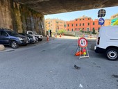 Infrastrutture a Genova, è allarme: il 39% dei ponti è in classe di attenzione alta o medio-alta Infrastrutture a Genova, è allarme: il 39% dei ponti è in classe di attenzione alta o medio-alta