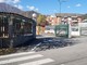 Ampliamento Caffarel: il Tar dà il via libera all'abbattimento degli alberi Ampliamento Caffarel: il Tar dà il via libera all'abbattimento degli alberi