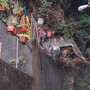 Frana in via Posalunga, evacuate quattro famiglie: strada a rischio crollo Frana in via Posalunga, evacuate quattro famiglie: strada a rischio crollo