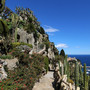 Riapertura imminente del Jardin Exotique de Monaco: le date da ricordare