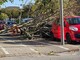 Vento forte a Cuneo: albero si schianta su un'auto parcheggiata