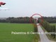 Piantagione di cannabis al parco di Stupinigi, i carabinieri arrestano un coltivatore albanese [VIDEO]