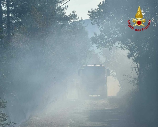 Incendio a Cairo Montenotte, notte di lavoro per vigili del fuoco e Aib: operazioni riprese all'alba Incendio a Cairo Montenotte, notte di lavoro per vigili del fuoco e Aib: operazioni riprese all'alba