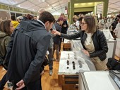 Alba: Mercato Mondiale del Tartufo preso d'assalto e prezzi tra i 500 e i 600 euro all'etto nella prima giornata di Fiera [FOTO E VIDEO]