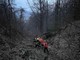 FOTO. Si ferisce ad una caviglia nei boschi di Bisuschio: 29enne imbarellato, calato in strada dal soccorso alpino e trasportato in ospedale