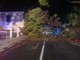 Maltempo a Ventimiglia, albero si abbatte sulla strada: vigili del fuoco in azione (Foto) Maltempo a Ventimiglia, albero si abbatte sulla strada: vigili del fuoco in azione (Foto)