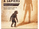 “De Toumaï à Sapiens”: al Museo di Antropologia Preistorica di Monaco la storia delle origini dell’uomo “De Toumaï à Sapiens”: al Museo di Antropologia Preistorica di Monaco la storia delle origini dell’uomo