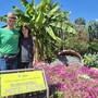 Il più bel biglietto da visita floreale di Varese. Fulvio e Patrizia e la loro passione sempre in fiore: così vive la Floricoltura Pozzi