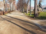 In macchina nei parchi di Torino: quasi 1.600 multe per sosta vietata e Ztl non rispettata