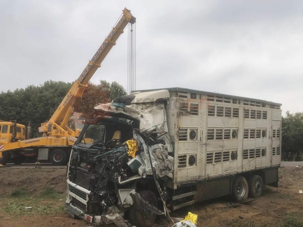 Due morti nel drammatico incidente alle porte di Cuneo: recuperati i mezzi e riaperta la strada Due morti nel drammatico incidente alle porte di Cuneo: recuperati i mezzi e riaperta la strada