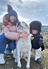 Uccisero cane a colpi di fucile a Castellinaldo d’Alba: individuato il responsabile