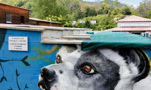 Il Comune presenta la campagna anti abbandono. Le associazioni denunciano: “Gravi criticità al canile Monte Contessa”