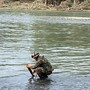 Una bomba della Seconda Guerra Mondiale sul fondo del Po al Meisino: gli artificieri dell'Esercito neutralizzano il pericolo [FOTO]