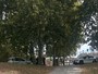 Schiamazzi e fuochi non autorizzati alla Pellerina, stangata estiva con 98 sanzioni Schiamazzi e fuochi non autorizzati alla Pellerina, stangata estiva con 98 sanzioni