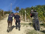 Contrasto al caporalato: multe per 50mila euro dopo controlli dei Carabinieri di Alba durante l’ultima vendemmia Contrasto al caporalato: multe per 50mila euro dopo controlli dei Carabinieri di Alba durante l’ultima vendemmia
