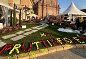 La celebrazione dei frutti della primavera, visite guidate e attività outdoor: tante proposte per trascorrere il weekend in Granda