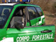 Doccia gelata per il Comune di Chivasso: i Carabinieri della Forestale traslocano a Volpiano Doccia gelata per il Comune di Chivasso: i Carabinieri della Forestale traslocano a Volpiano