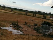Maltempo sulla Granda, il vento provoca danni: tetti scoperchiati, serre distrutte e alberi sulle carreggiate
