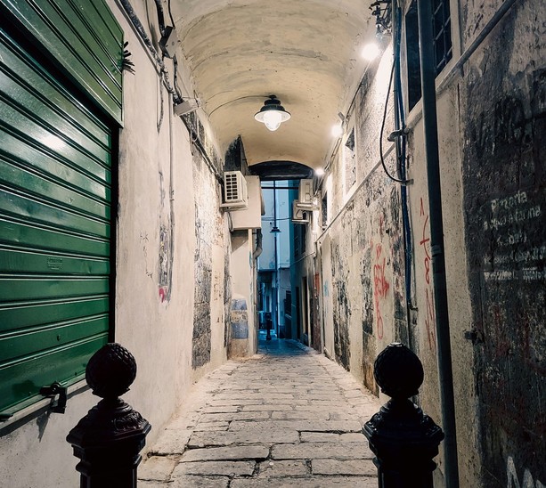 Piano Caruggi e i nodi degli affitti: "Non servono colpi a effetto ma soluzioni reali per il Centro Storico" Piano Caruggi e i nodi degli affitti: "Non servono colpi a effetto ma soluzioni reali per il Centro Storico"