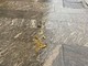 Deiezioni canine, a Varese inizia la "battaglia" di San Martino: «Borracce per tutti, poi arriveranno le multe» Deiezioni canine, a Varese inizia la "battaglia" di San Martino: «Borracce per tutti, poi arriveranno le multe»