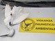 Cumiana: ucciso da una fucilata un volatile protetto Cumiana: ucciso da una fucilata un volatile protetto