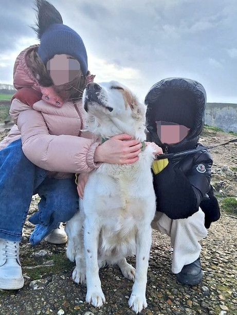 Comparirà domani di fronte ai giudici l’uomo di Castellinaldo d'Alba accusato di avere sparato a Ted