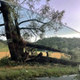 Temporale e grandine su Asti e dintorni, oltre venti interventi dei vigili del fuoco [VIDEO]